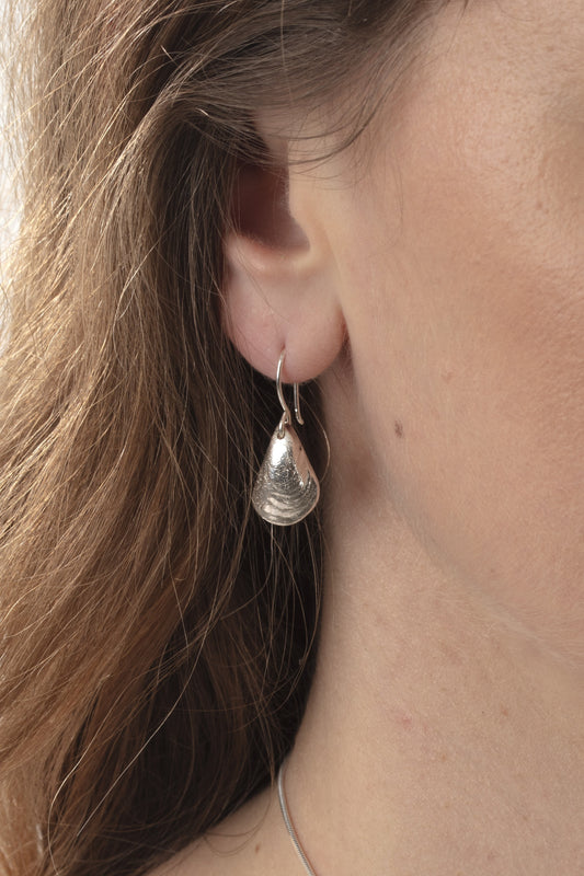 Silver Mussel Shell Earrings