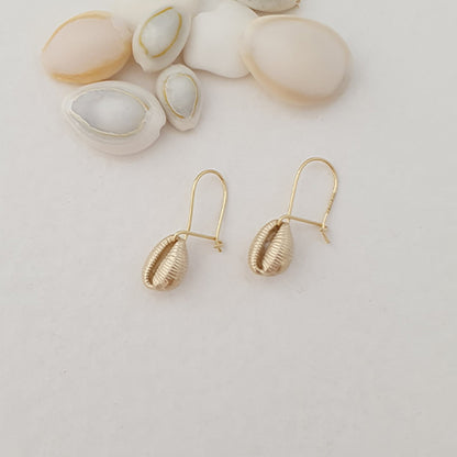 9ct Gold Cowrie Earrings