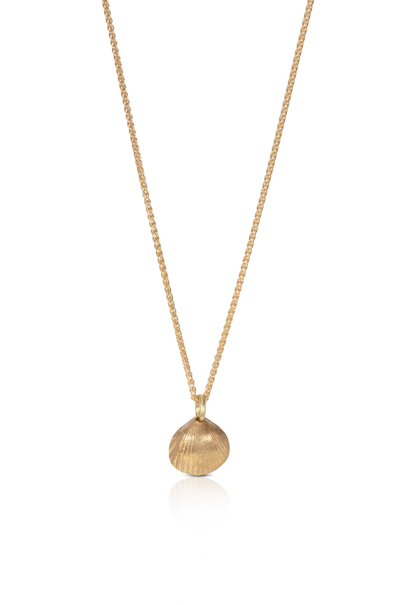 18ct Gold Tiny Cockle Shell Necklace