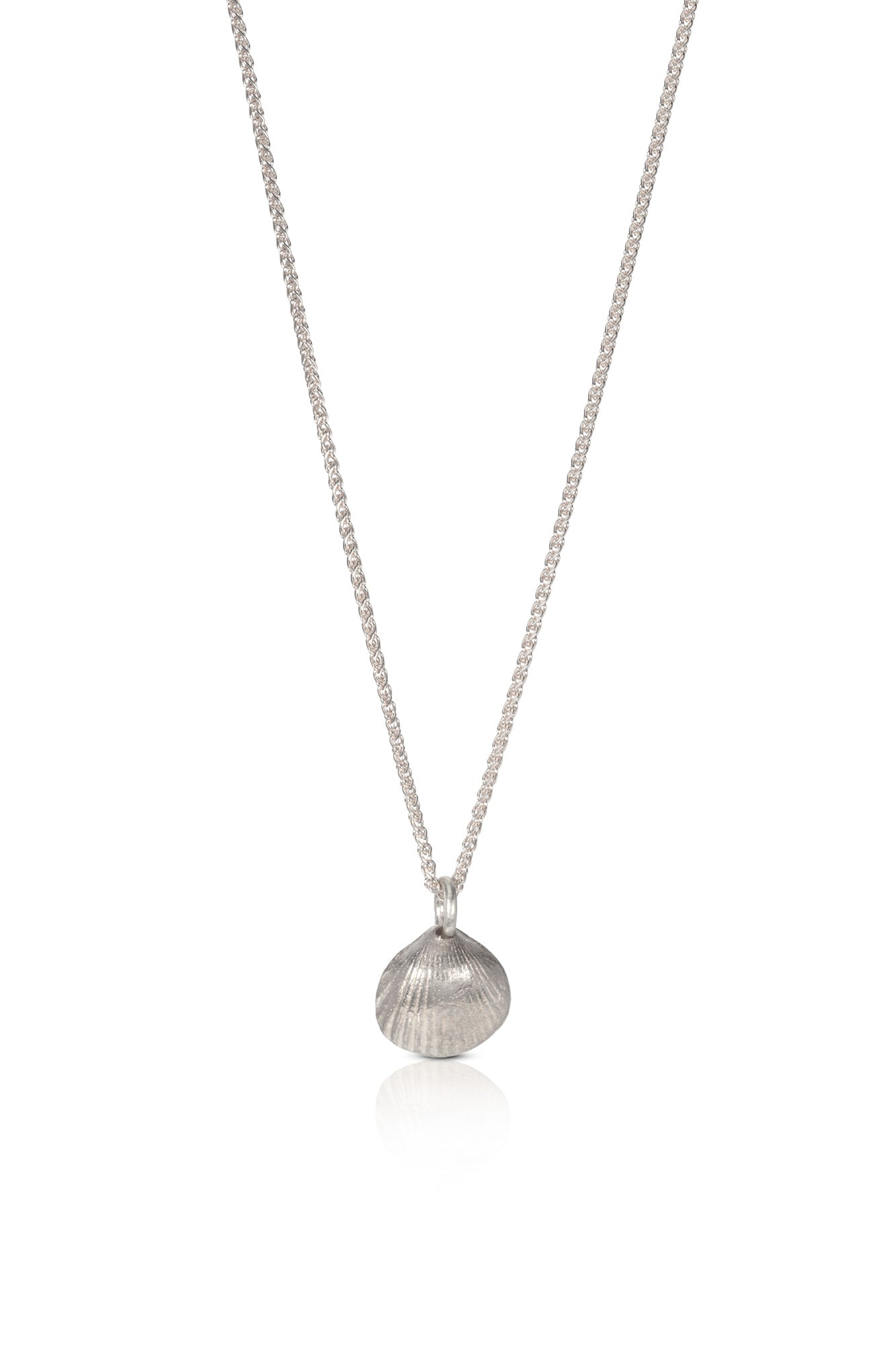 Silver Tiny Cockle Shell Necklace