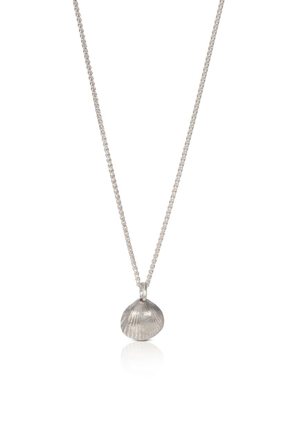 Silver Tiny Cockle Shell Necklace