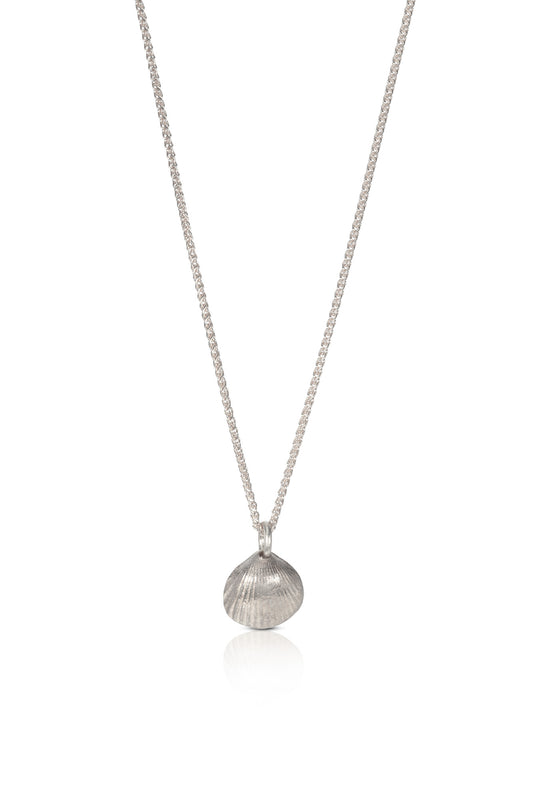 Silver Tiny Cockle Shell Necklace