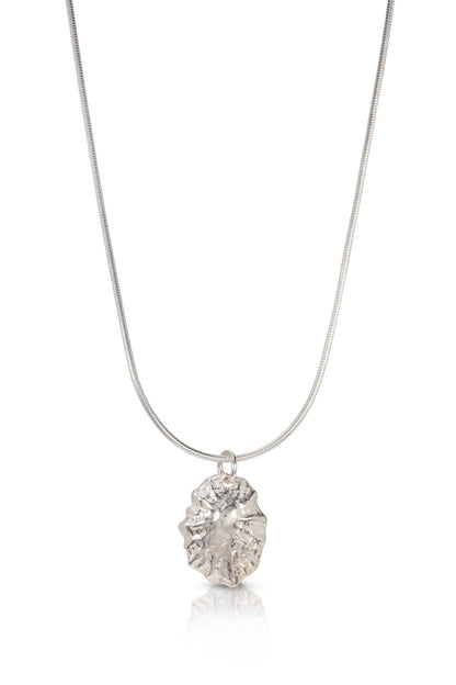 Silver Limpet Shell Necklace