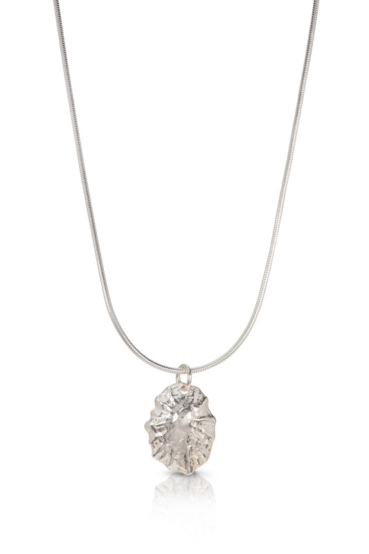 Silver Limpet Shell Necklace