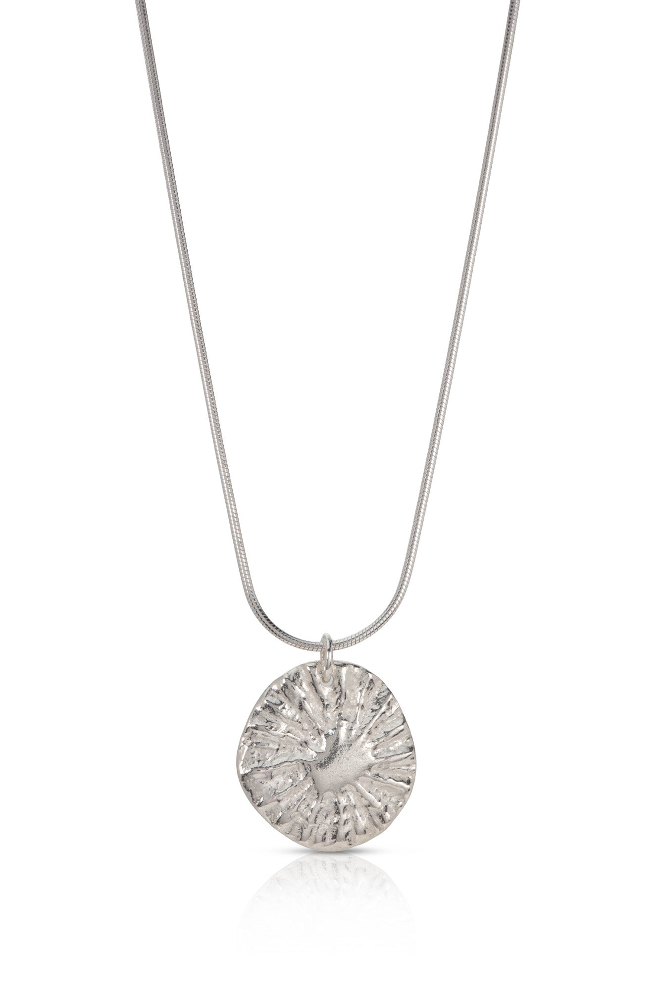 Silver Limpet Disc Necklace