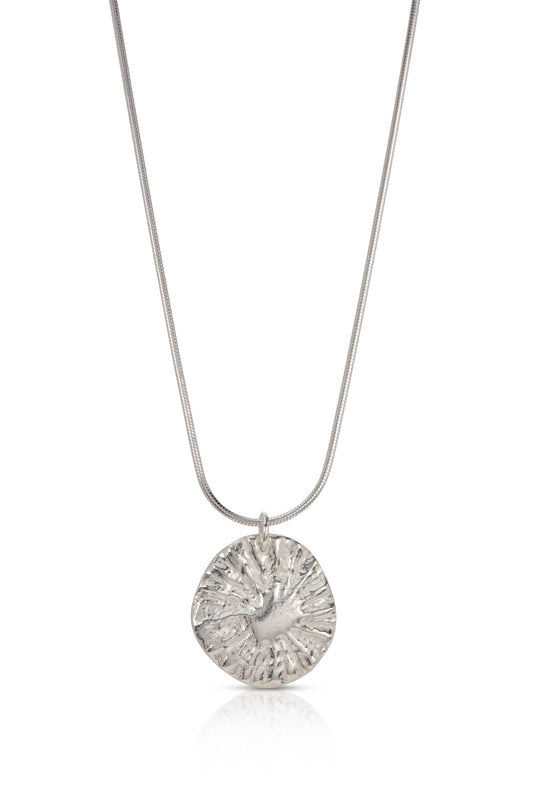 Silver Limpet Disc Necklace