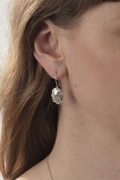 Silver Limpet Earrings